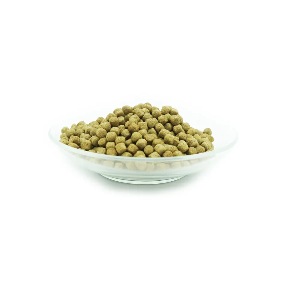 AQUARIS - Set avec nourriture pour carpes koï health et produits d’entretien naturels