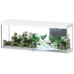 AQUATLANTIS - Aquarium équipé Splendid Led 2.0 Blanc L.150xP.40xH.61cm