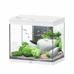 AQUATLANTIS - Aquarium équipé Splendid Led 2.0 Blanc L.60xP.40xH.56cm