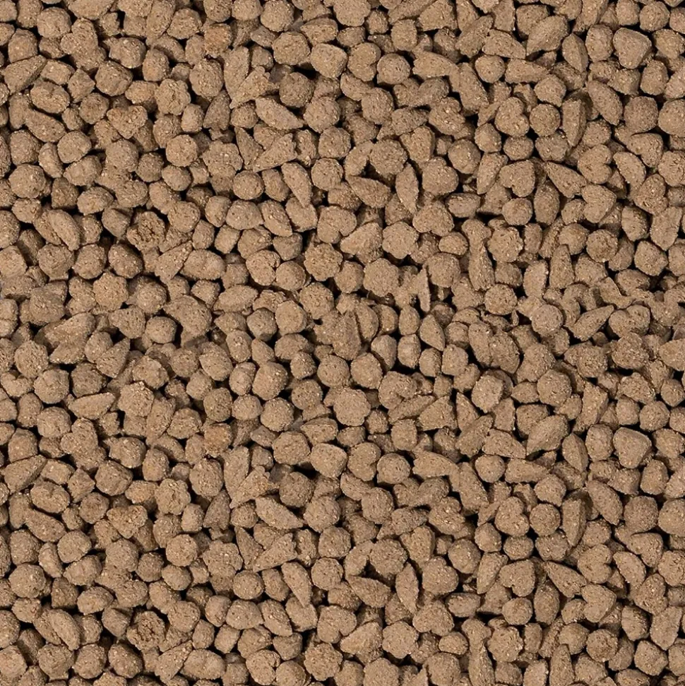 BEAPHAR - Aliment lapin senior - care + - beaphar 1,5 kg
