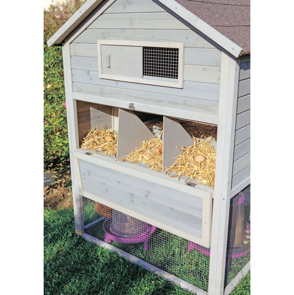 DADU - Poulailler Guardiana en bois pour 6 poules avec pondoir 217x106x145cm