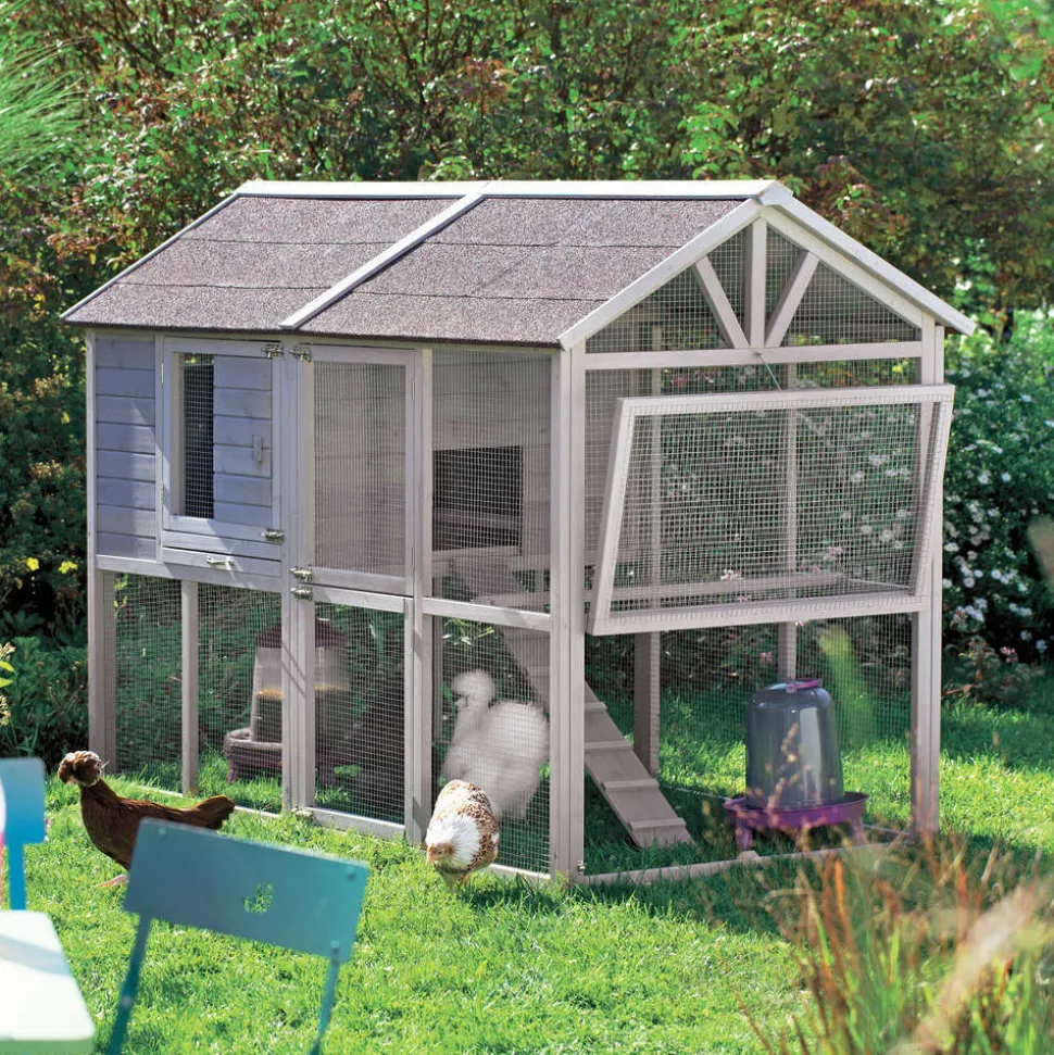 DADU - Poulailler Guardiana en bois pour 6 poules avec pondoir 217x106x145cm