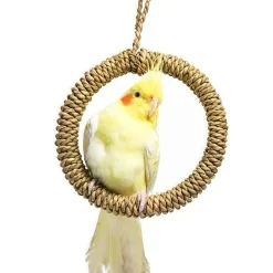 DOWNYPAWS - Balançoire à anneau en paille pour perroquet - support pour cage à oiseaux hamac à poteau