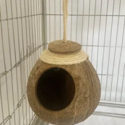 DOWNYPAWS - Boîte d'oiseau en coque de noix de coco pour la reproduction et la décoration chaîne de chapeau de paille