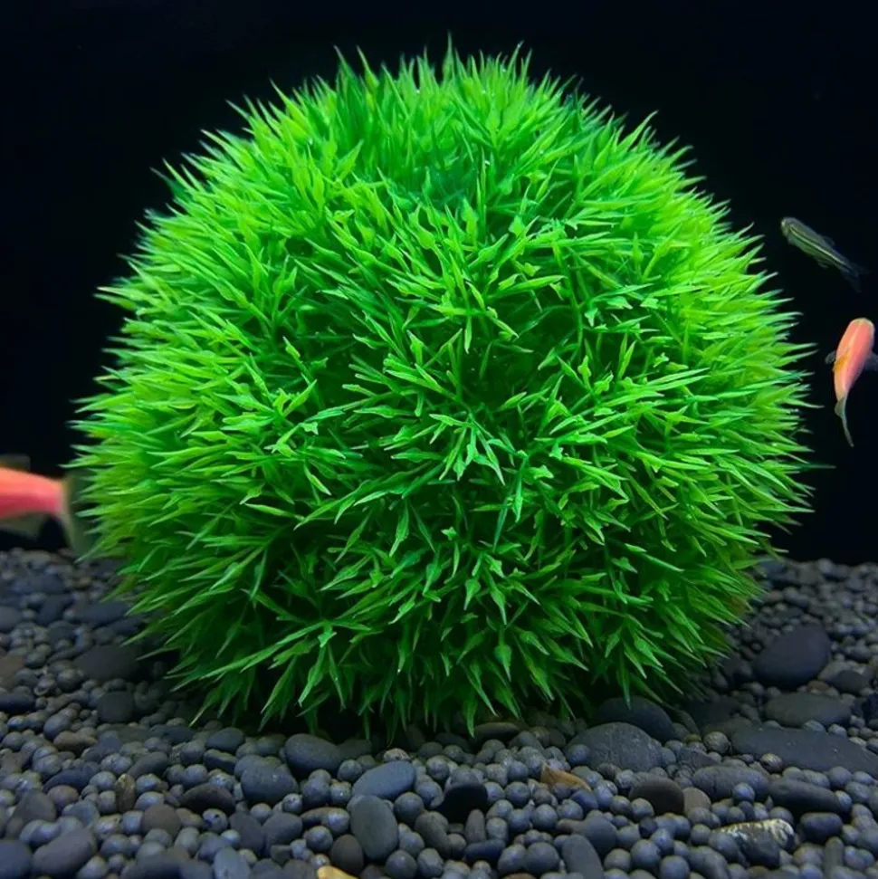 DOWNYPAWS - 2 boules d'herbe artificielles en plastique pour aquarium, ornements d'aménagement paysager
