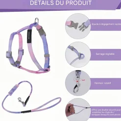 DOWNYPAWS - Harnachement et laisse pour chat s
