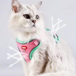 DOWNYPAWS - Harnais avec laisse pour chat m