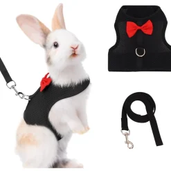 DOWNYPAWS - Harnais pour lapin l