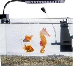 DOWNYPAWS - Hippocampe en silicone lumineux simulé pour la décoration d'aquarium avec ventouse orange*2