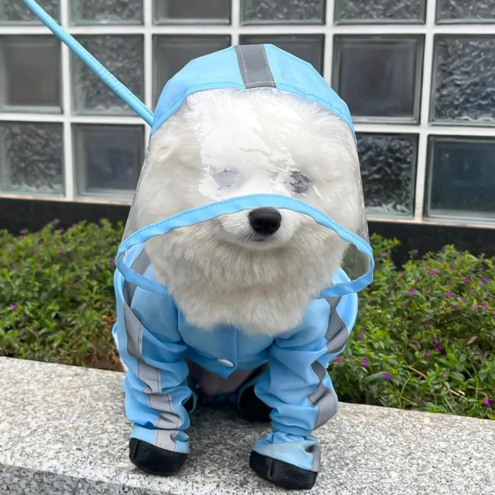 DOWNYPAWS - Imperméable pour chien avec sac de rangement-taille s : longueur du dos : 27 cm