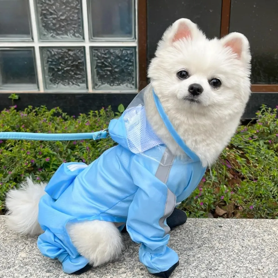 DOWNYPAWS - Imperméable pour chien avec sac de rangement-taille s : longueur du dos : 27 cm