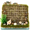 DOWNYPAWS - Jeu d'escalade pour hermit crab et escargot 2 pièces
