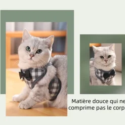 DOWNYPAWS - Lit pour chat