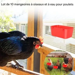 DOWNYPAWS - Lot de 10 bols d'alimentation et abreuvoirs pour cage d'oiseaux