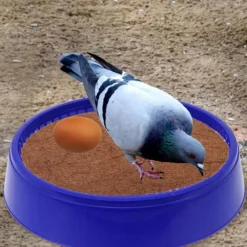 DOWNYPAWS - Lot de 8 bols plastiques réutilisables pour pigeons