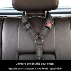 DOWNYPAWS - Lot de 2 ceintures de sécurité pour chien