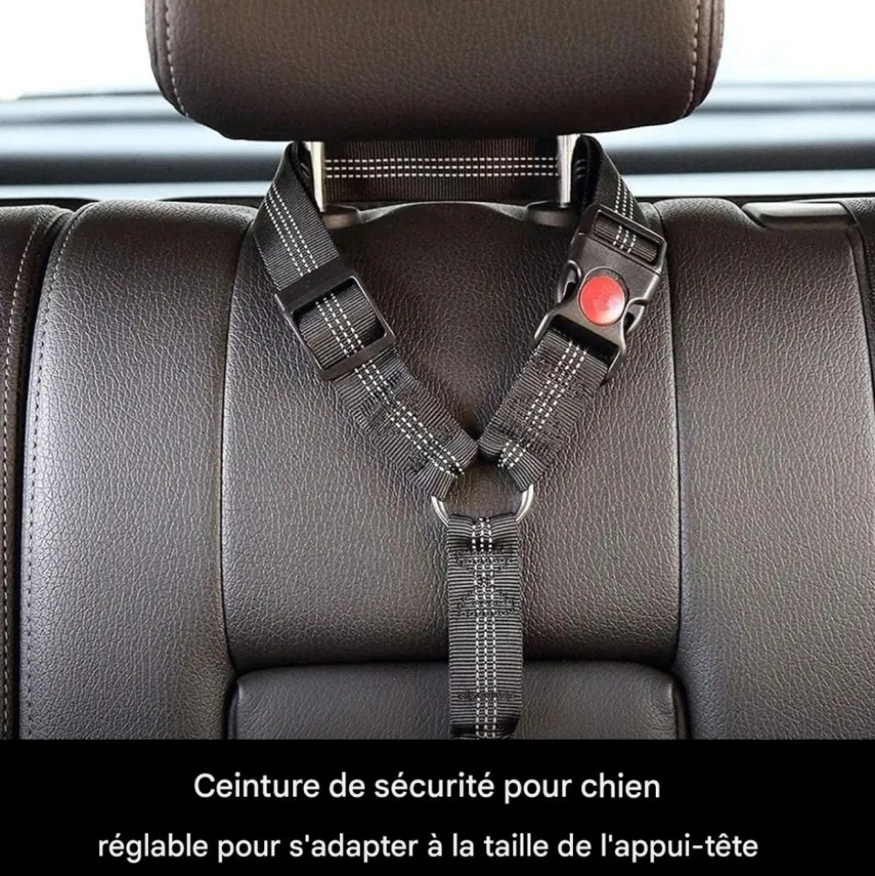 DOWNYPAWS - Lot de 2 ceintures de sécurité pour chien