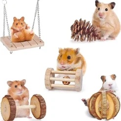 DOWNYPAWS - Lot de jouets - jeu molaire en bois