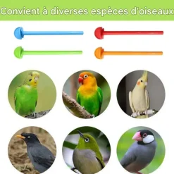 DOWNYPAWS - Lot de 8 perchoirs universels en plastique pour oiseaux
