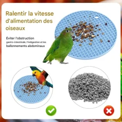 DOWNYPAWS - Lot de 2 tapis d'alimentation lente pour oiseaux