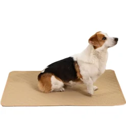 DOWNYPAWS - Nappe anti-urine pour animaux de compagnie réutilisable 45*60cm beige