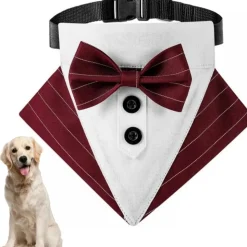 DOWNYPAWS - Nœud papillon pour chien