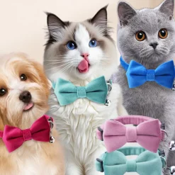 DTOPBUYAGE - Dtopbuyage collier nœud papillon pour chat