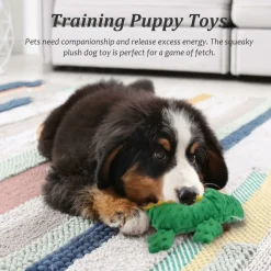 DTOPBUYAGE - Jouets pour chien - en peluche, sonores dtopbuyage