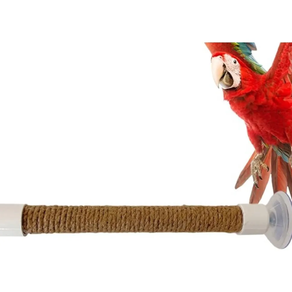 DTOPBUYAGE - Perchoir ventouse accessoire oiseaux