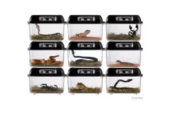 EXO TERRA - Boite d'élevage - breeding box - medium - boîte de transport ou d'élevage pour reptiles (lézards, serpents, tortues), amphibien