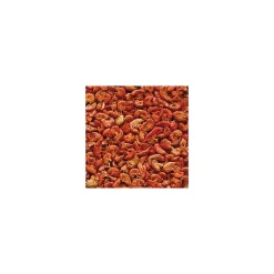 FLAMINGO - Gammarus seau 3 litres aliment naturel pour tortue d'eau