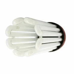FLORASTAR - Lampe cfl 250w floraison 2100k°