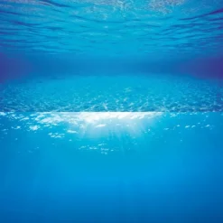 JUWEL - Poster de fond d'aquarium 2 s : 60x30 cm