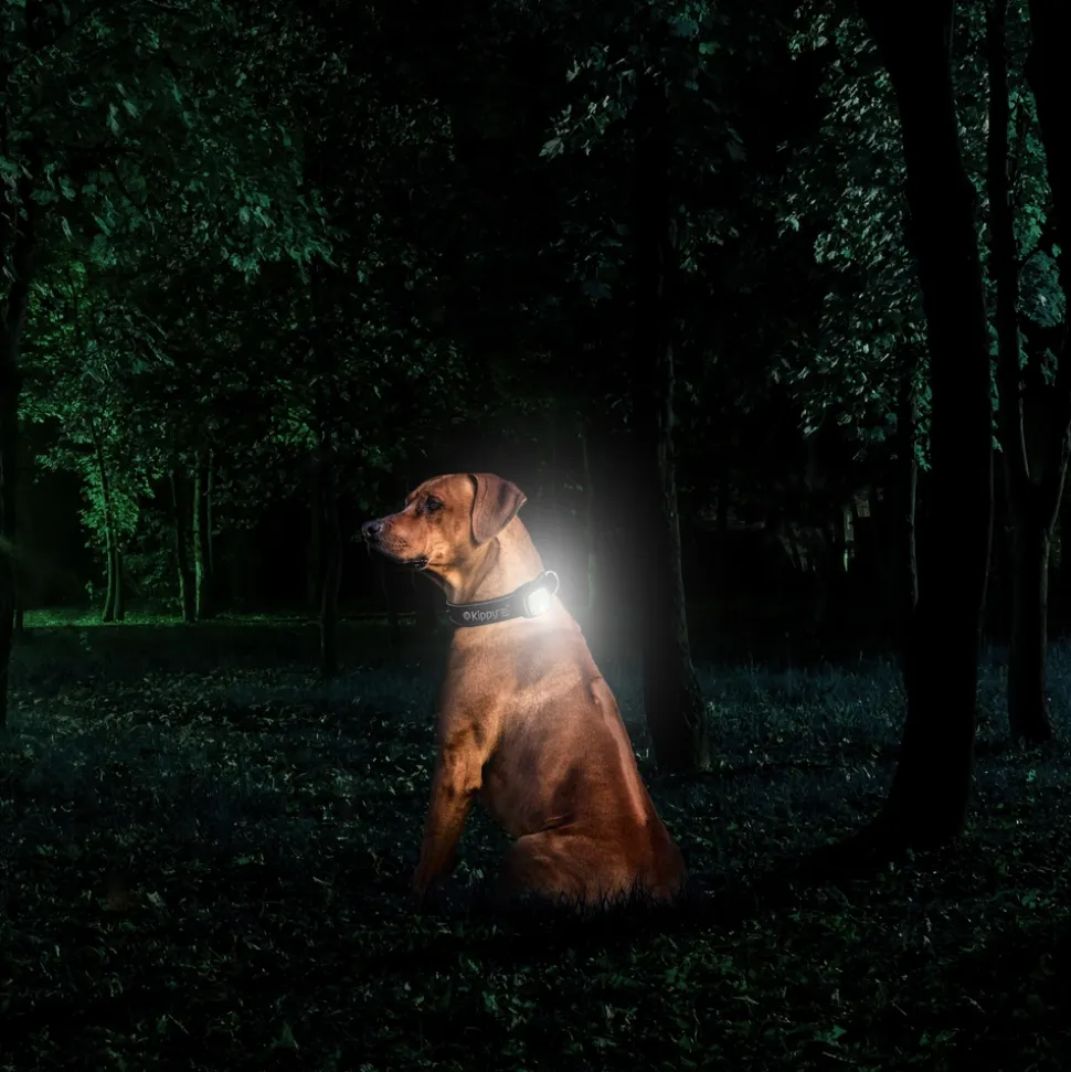 KIPPY - GPS et moniteur d'activité Kippy Evo Brown Wood pour chien & chat