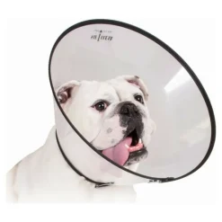 KVP - Collier de protection isabelino pour chiens saf-t-clear transparent (25-38 cm)