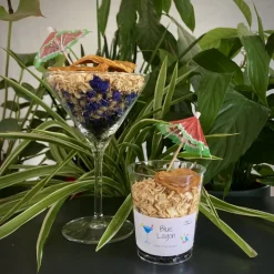 L'EDEN DES PATTOUNES - Cocktail - Blue Lagoon