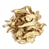L'EDEN DES PATTOUNES - Topinambour - 150 g