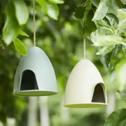 Mangeoire à oiseaux sauvages du ciel
