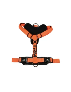NAYECO - Harnais x-trm cronos neon flash 35-60x1.5cm orange nayeco