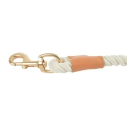 PARIS PRIX - Collier pour chien réglable "city" 43cm écru