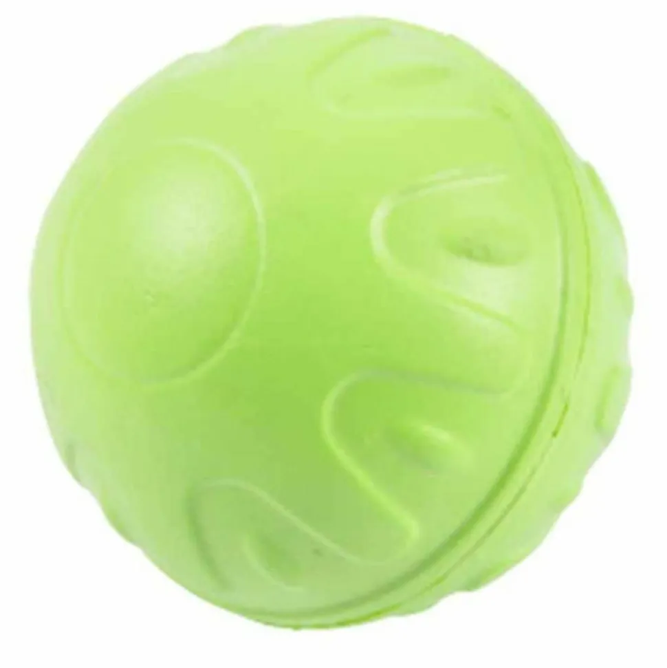 PARIS PRIX - Jouet pour chien "balle fitness eva" 7cm vert