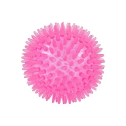PARIS PRIX - Lot de 2 jouets pour chien "balle & os" 13cm rose