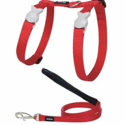 RED DINGO - Ensemble harnais et laisse red dingo chats basic rouge