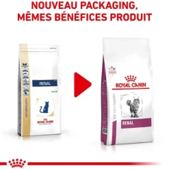 ROYAL CANIN - Croquettes chat veterinary cat renal - royal canin 4 kg