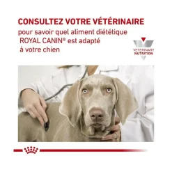 ROYAL CANIN - Croquettes chien veterinary dog skin care - royal canin 2 kg