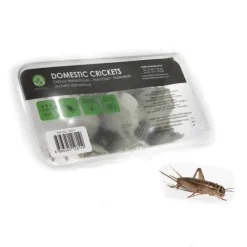 STOFFELS - Grillons alimentation reptiles, taille petit, 70/80 pièces