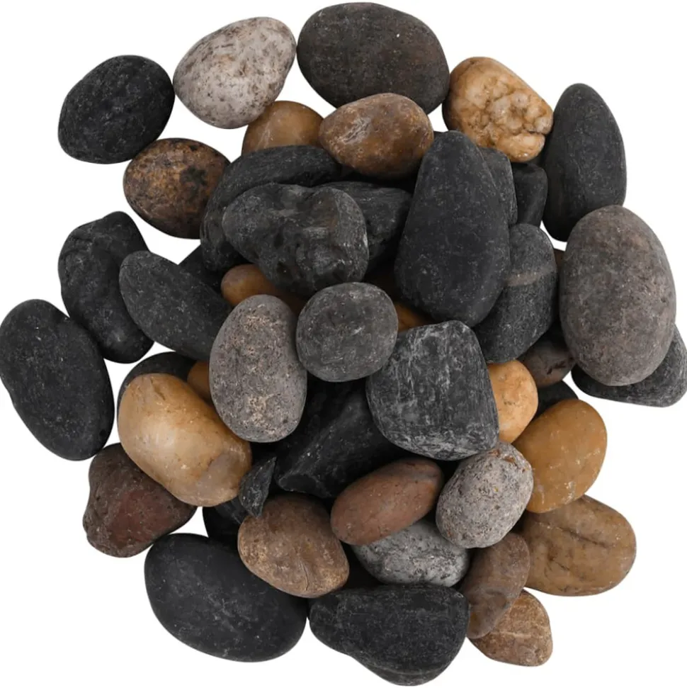 VIDAXL - Galets polis 10 kg multicolores 5-8 cm