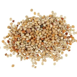 ZOLUX - Graines alimentation oiseaux exotique nutrimeal, 800g.
