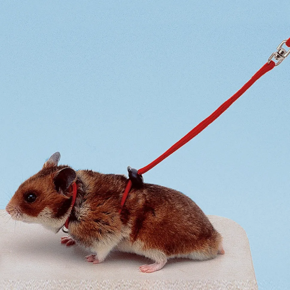 Accessoires pour rongeurs ferplast ny ham harnais laisse hamsters réglable
