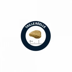 ADVANCE - Croquettes chat adulte sensitive sterilized saumon - advance 10 kg